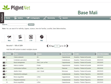 Tablet Screenshot of mali.plantnet-project.org